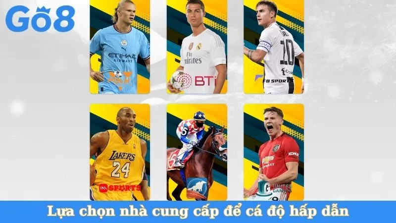 Lựa chọn nhà cung cấp để cá độ hấp dẫn